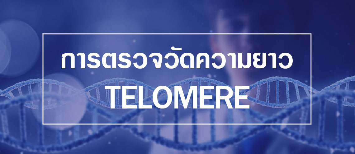 การวัดความยาว Telomere