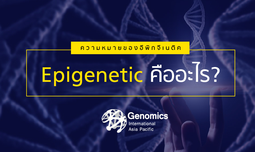 อะไรคือ Epigenetic