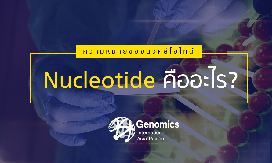 Nucleotide